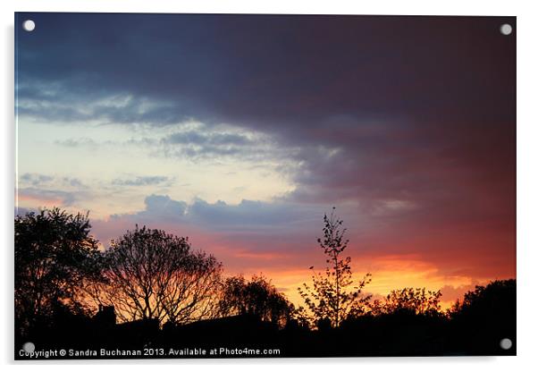 Sunset Acrylic by Sandra Buchanan
