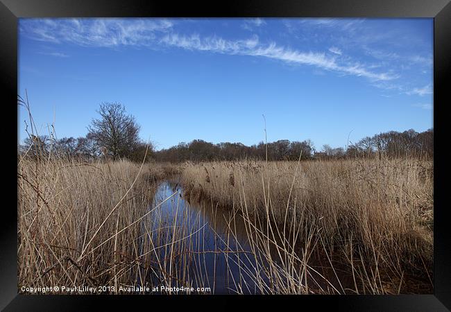 Serenity by Hickling Broad Framed Print by Digitalshot Photography