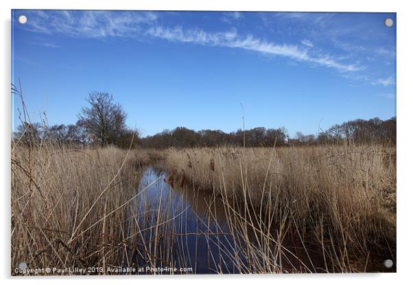 Serenity by Hickling Broad Acrylic by Digitalshot Photography
