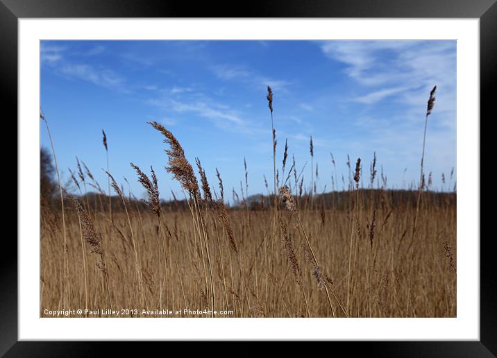 Serenity on Hickling Broad Framed Mounted Print by Digitalshot Photography