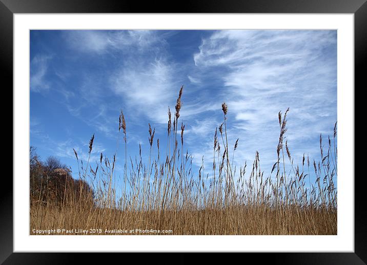Ethereal beauty of Hickling Broad Framed Mounted Print by Digitalshot Photography