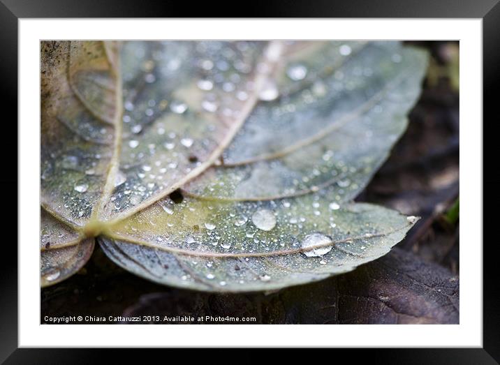 Colored leaf Framed Mounted Print by Chiara Cattaruzzi