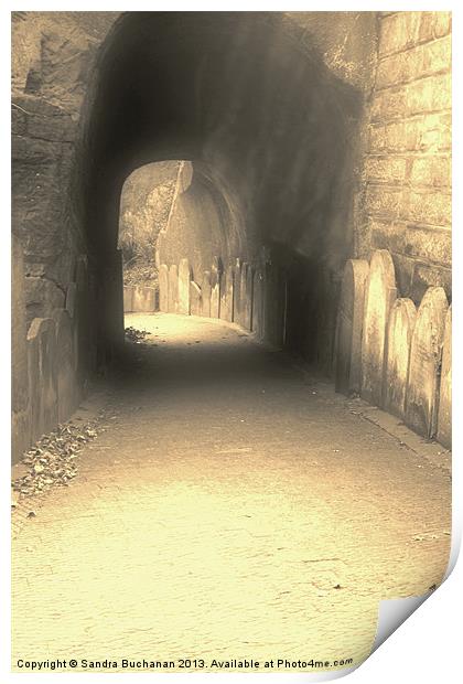 Tunnel Of Tombs Print by Sandra Buchanan