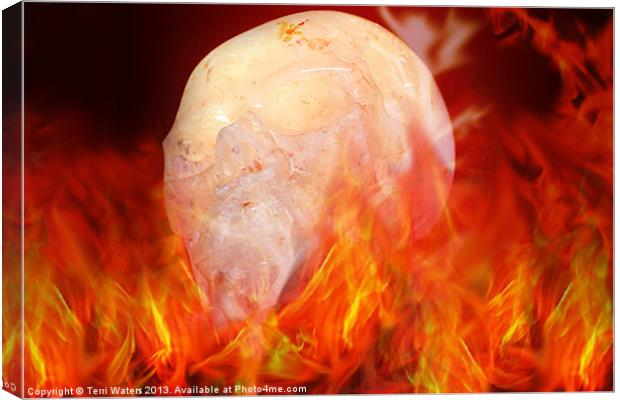 Flaming Crystal Skull Canvas Print by Terri Waters