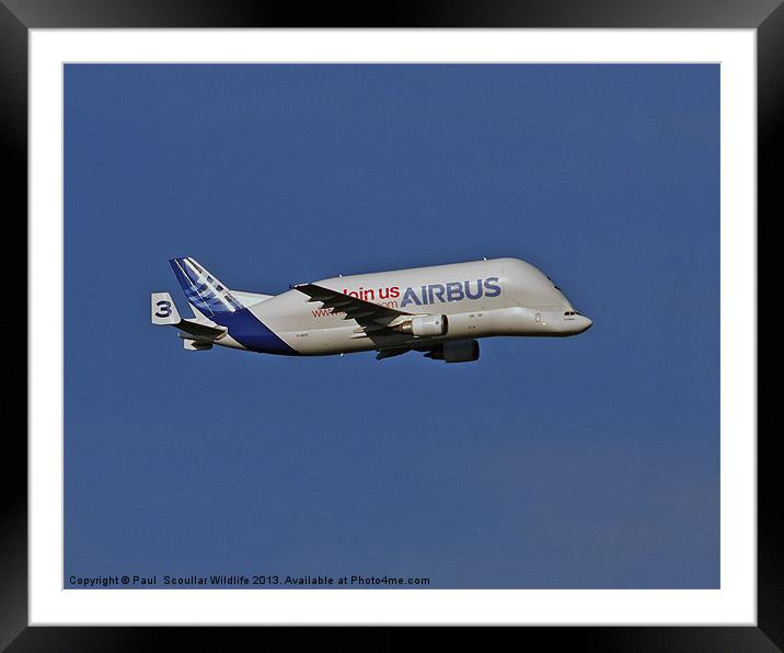 Airbus A300-600st Framed Mounted Print by Paul Scoullar