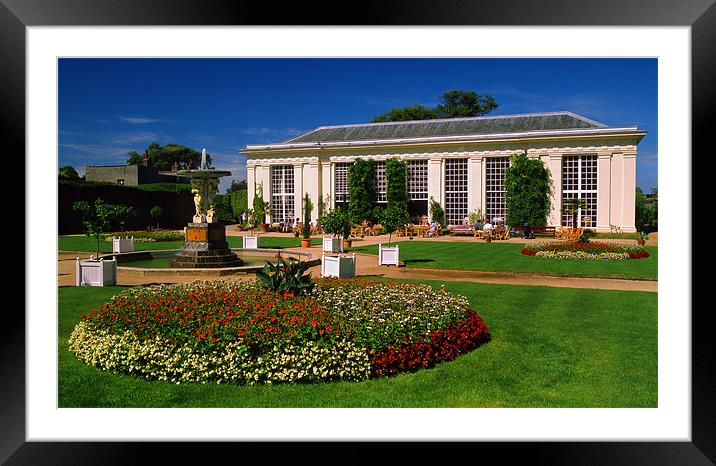 Mount Edgcumbe Country Park,Cornwall Framed Mounted Print by Darren Galpin