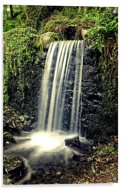 Woodland waterfall Acrylic by Steve Cowe