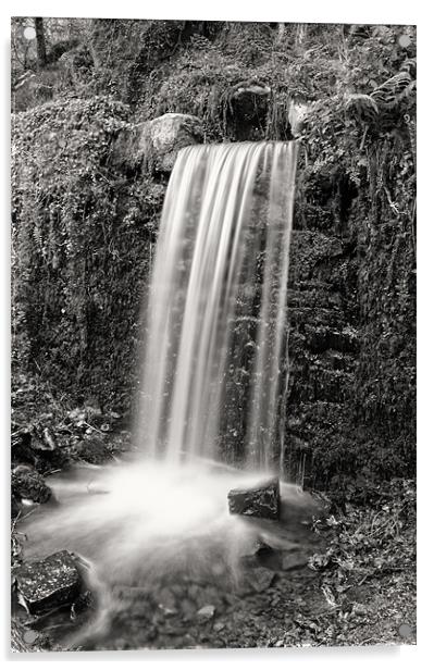 Woodland waterfall B&W Acrylic by Steve Cowe
