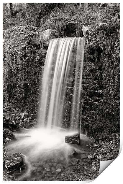 Woodland waterfall B&W Print by Steve Cowe