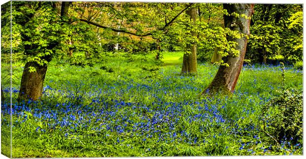 Blue Spring Time Canvas Print by Trevor Kersley RIP