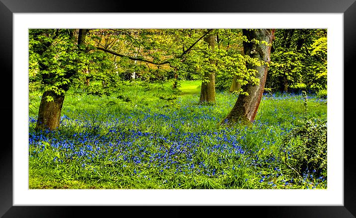 Blue Spring Time Framed Mounted Print by Trevor Kersley RIP