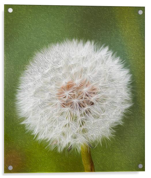 Dandelion Oil Paint  Digital Acrylic by Clive Eariss