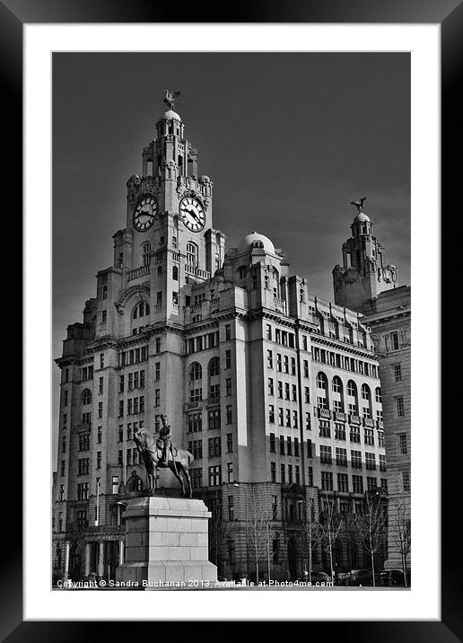 Royal Liver Building Liverpool Framed Mounted Print by Sandra Buchanan