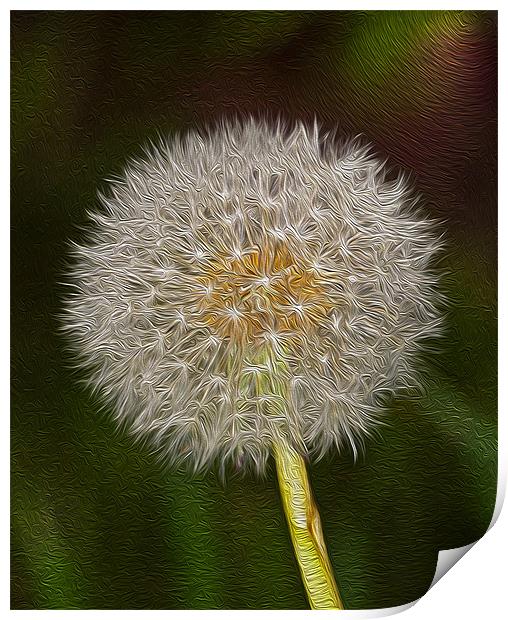 Dandelion Oil Paint  Digital 1 Print by Clive Eariss