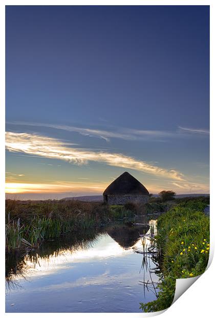 Braunton Marsh Print by Dave Wilkinson North Devon Ph