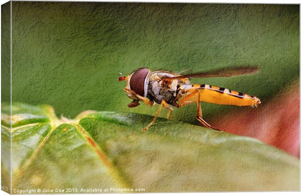 Textured Hoverfly Canvas Print by Julie Coe