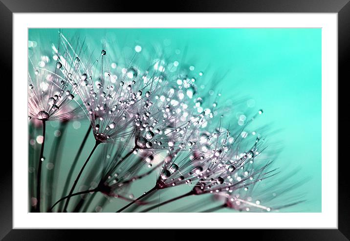 Water Droplets Blue Framed Mounted Print by Anthony Michael 