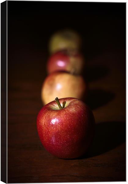 Four Apples Canvas Print by Alan Todd