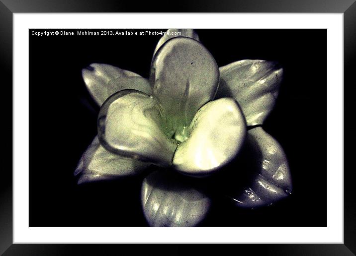 Glass flower Framed Mounted Print by Diane  Mohlman
