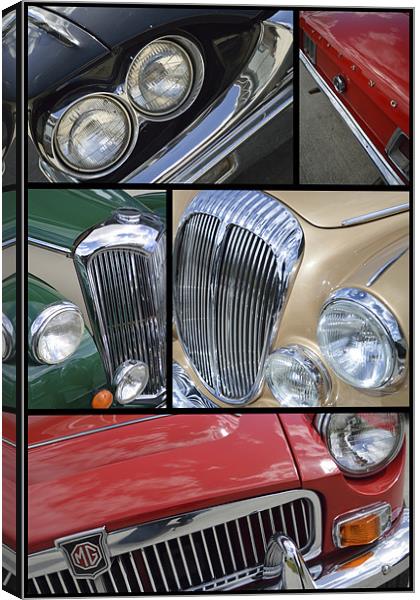 Loved classics Canvas Print by Adrian Wilkins
