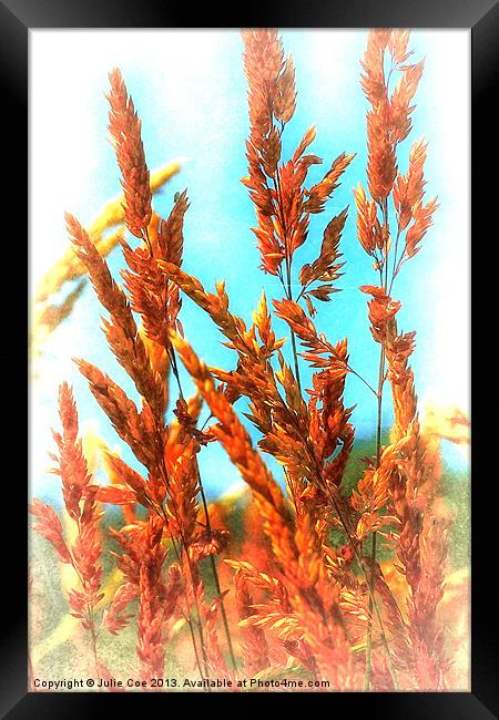 Meadow Grasses Framed Print by Julie Coe