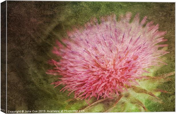 Thistle Flower Canvas Print by Julie Coe