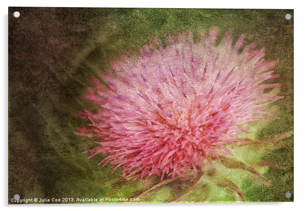 Thistle Flower Acrylic by Julie Coe