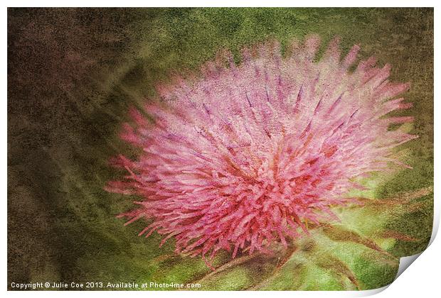 Thistle Flower Print by Julie Coe