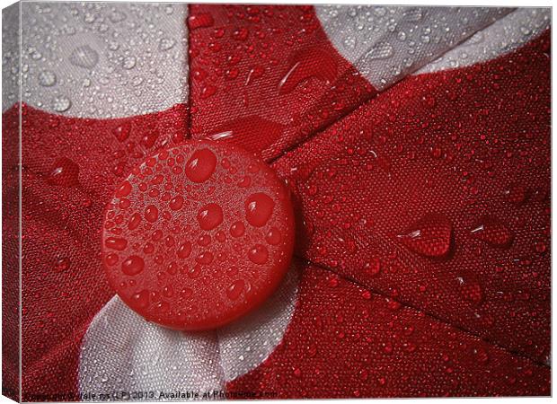 umbrella in red Canvas Print by dale rys (LP)