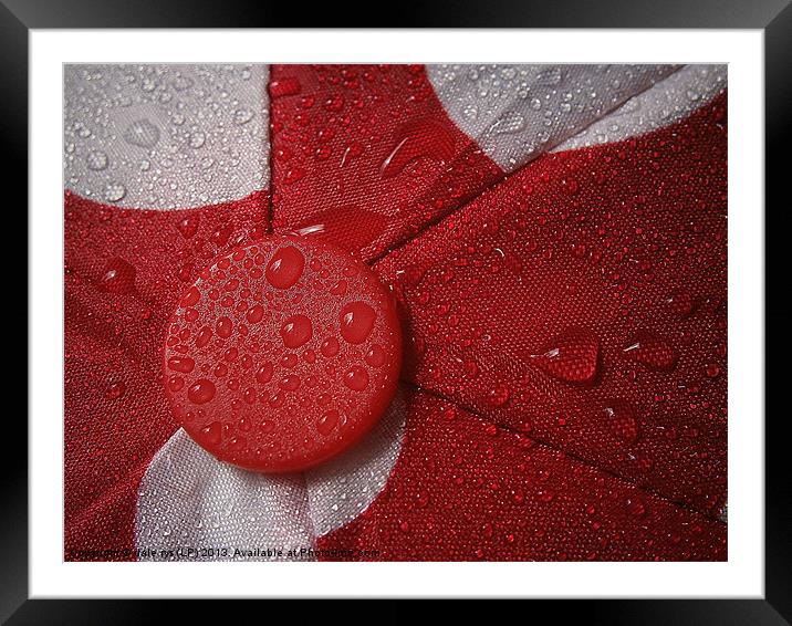 umbrella in red Framed Mounted Print by dale rys (LP)