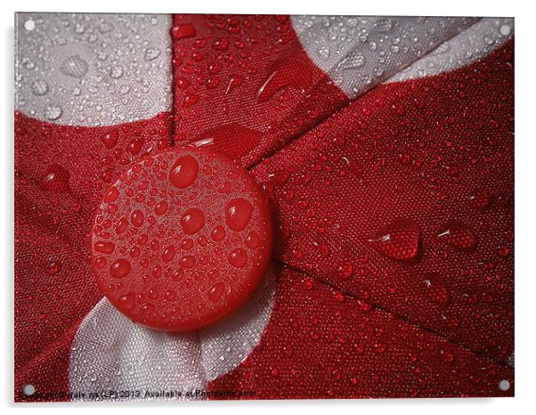 umbrella in red Acrylic by dale rys (LP)