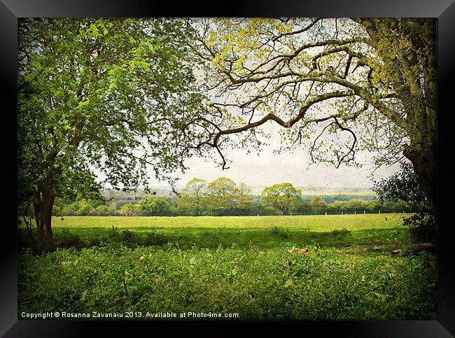 Rural Norfolk. Framed Print by Rosanna Zavanaiu