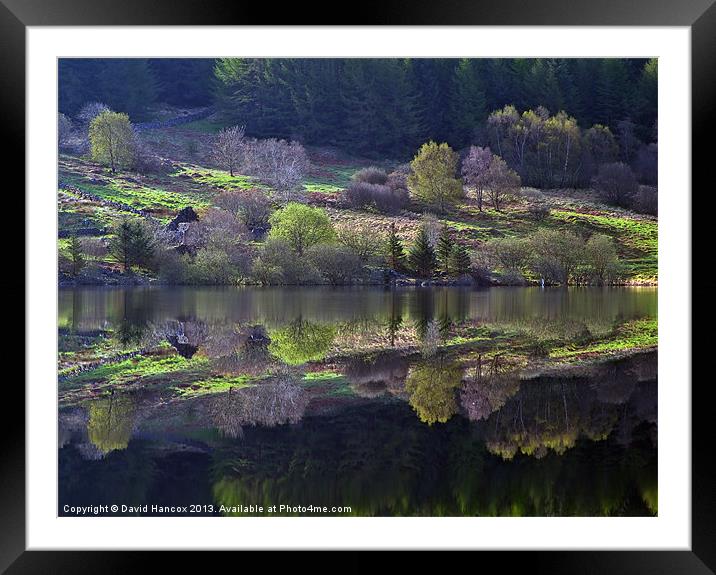 Springtime Reflections Framed Mounted Print by David Hancox