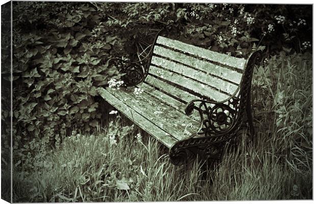 Neglected Bench Canvas Print by Bill Simpson