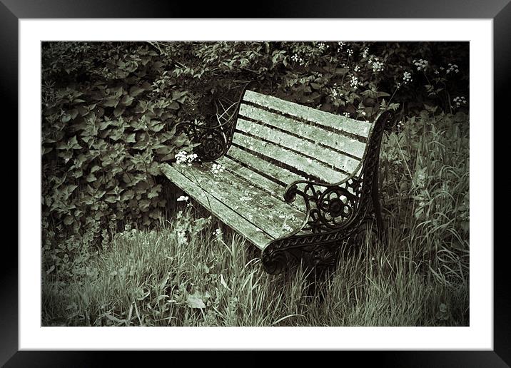 Neglected Bench Framed Mounted Print by Bill Simpson