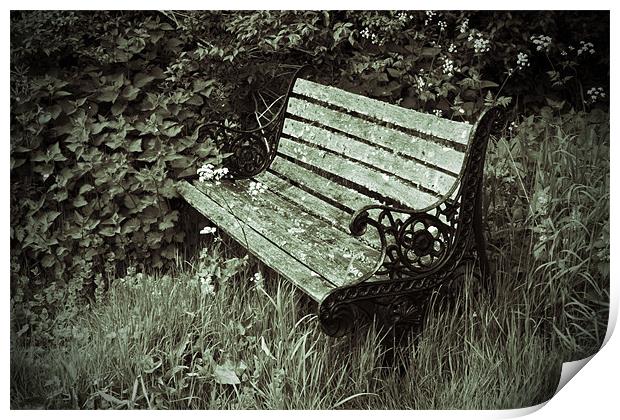 Neglected Bench Print by Bill Simpson