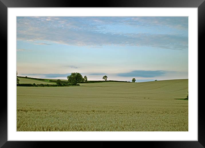 Under an Evening Sky Framed Mounted Print by graham young