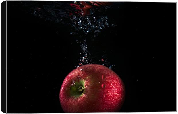 Sinking Apple Canvas Print by Alan Todd