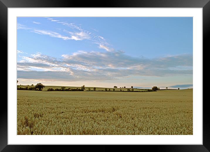 Ready for the Harvest Framed Mounted Print by graham young