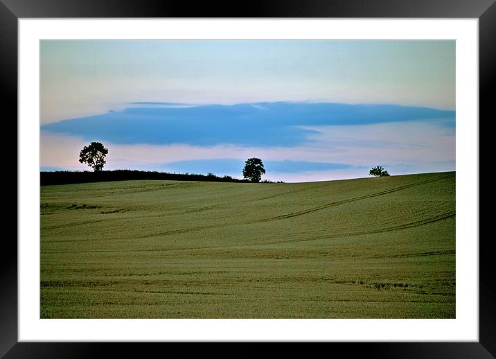 Three Trees a Cornfield and a Cloud Framed Mounted Print by graham young