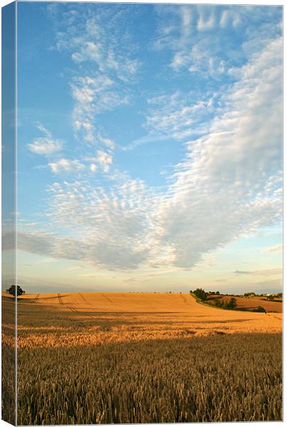 Big Harvest Sky! Canvas Print by graham young