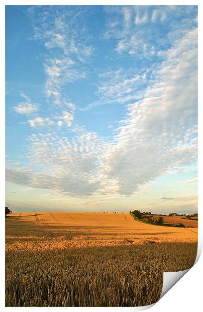 Big Harvest Sky! Print by graham young