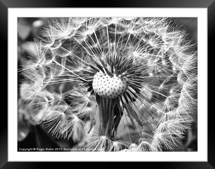 What Time Is It ..... B/W ? Framed Mounted Print by Roger Butler
