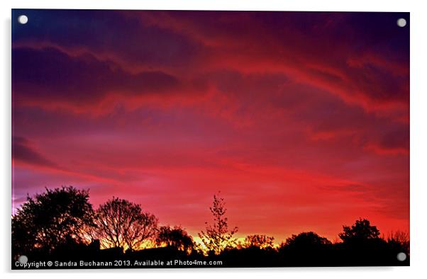 Pink Sky At Night Acrylic by Sandra Buchanan