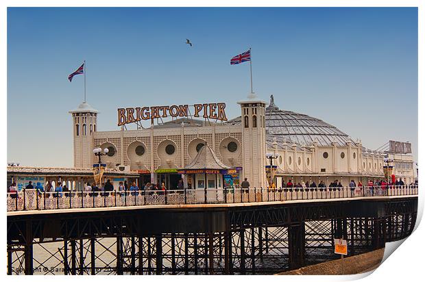 Brighton Pier Print by Sara Messenger