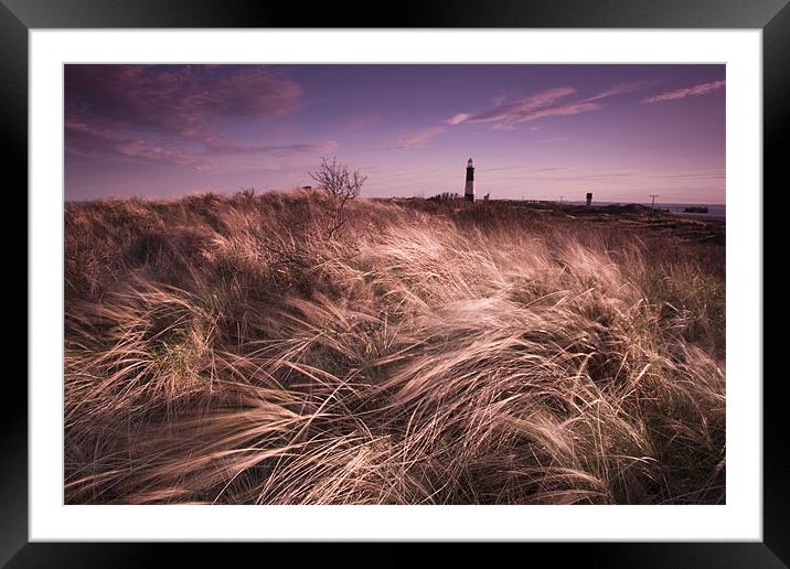 Spurn point lighthouse Framed Mounted Print by Leon Conway