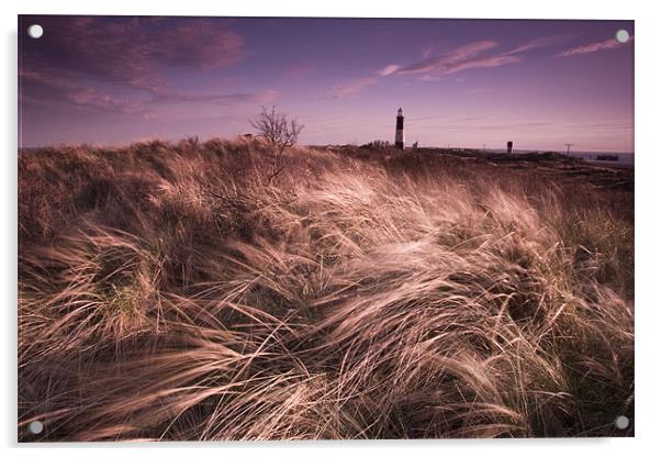 Spurn point lighthouse Acrylic by Leon Conway