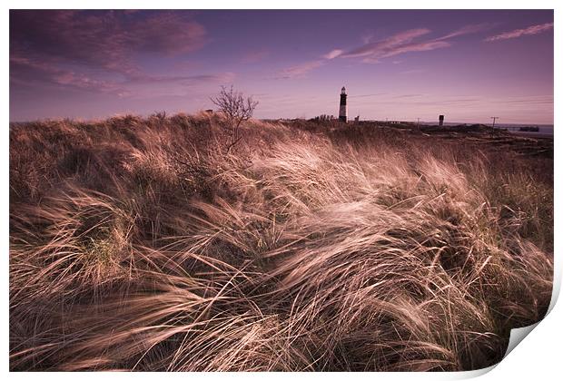 Spurn point lighthouse Print by Leon Conway