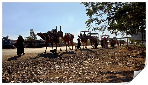 Camel caravan train on Tarmac at twilight Print by Arfabita  