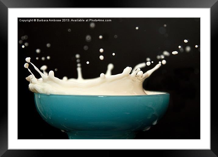 Milk Splash Framed Mounted Print by Barbara Ambrose